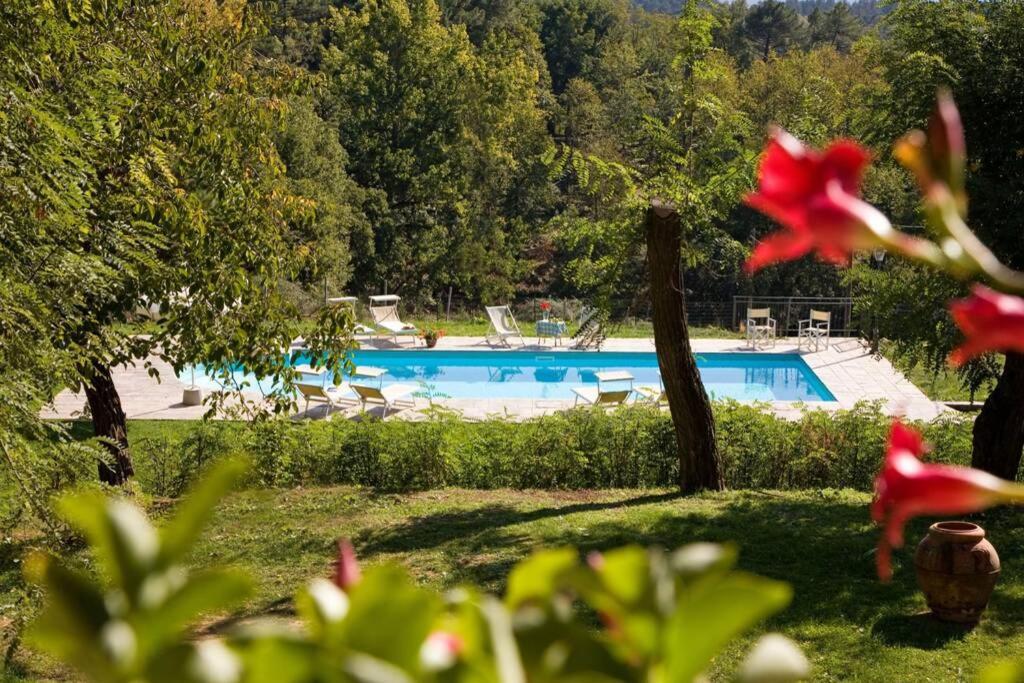 Villa Liz Tuscany, Private Pool, Hot Tub, Property Fenced, Pets Allowed Poppi Exterior foto